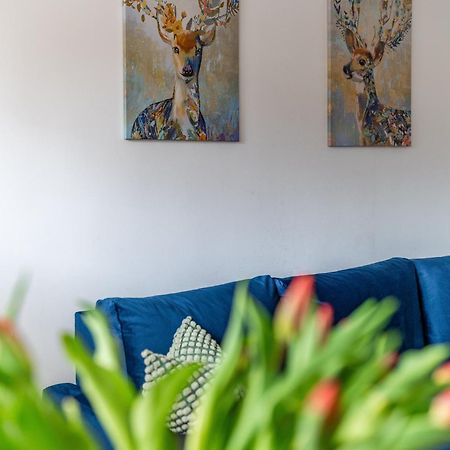 Apartament Lisowski Centrum Закопане Экстерьер фото
